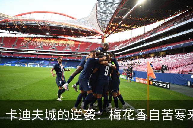 卡迪夫城的逆袭：梅花香自苦寒来，胜利之花开两朵！